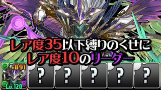 【鬼畜リーダースキル】総レア度35以下編成が意外と強かった件【パズドラ】