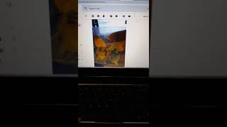 Buyer Beware: Nani's Stores Online Scam