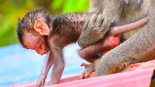 Tiny Young Mommy Hugs Baby Tights, But Baby Really Wants To Walk