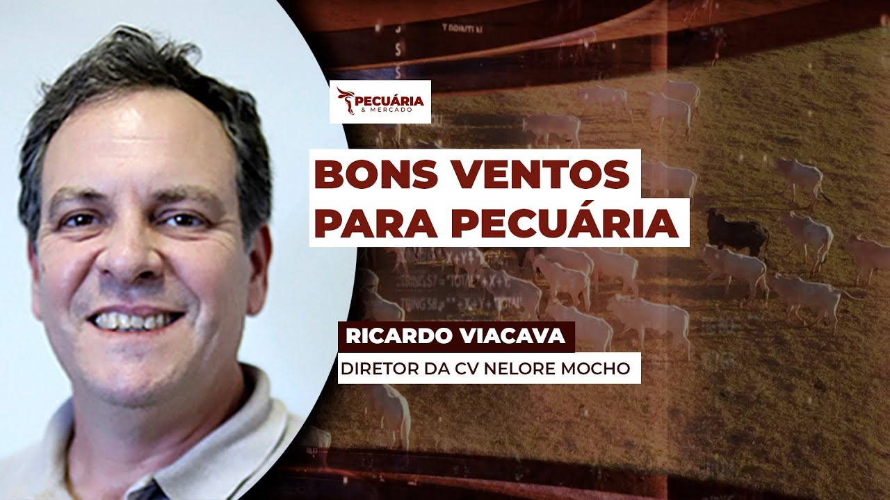 Pecuarista em SP está otimista e acredita em ano com rentabilidade positiva, independente do...
