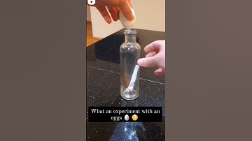 മുട്ട ഉപയോഗിച്ച് ഇങ്ങനെയും ചെയ്യാം 😂 | #trending #viral #malayalam #shorts #iamnoel #tiktok