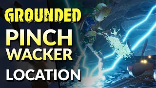 Pinch Wacker Location Grounded 2022