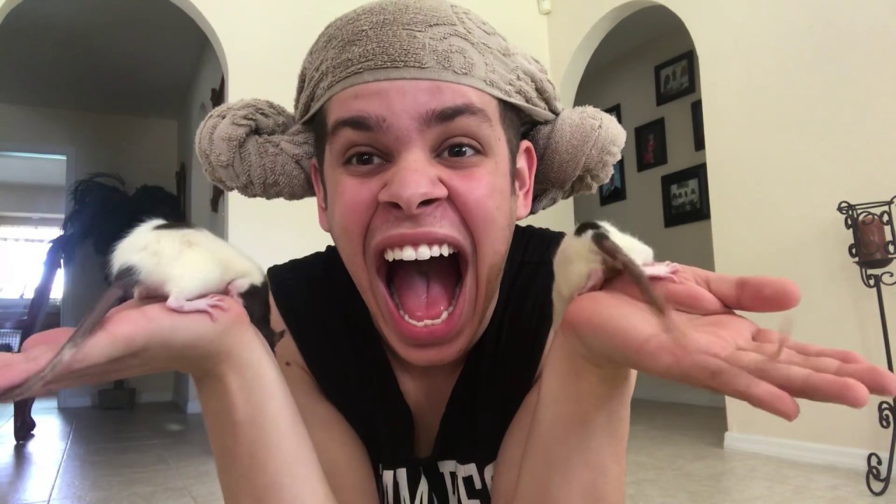 PLAYING WITH RATS YouTube