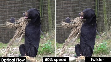 Premiere Pro Optical Flow vs. Twixtor Slow Motion Comparison