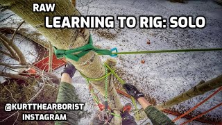 ARBORIST TREE CLIMBER with SOLO TOP RIG | Lessons learned - Talk-through