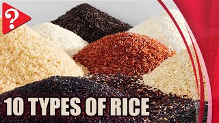 10 Types of Rice