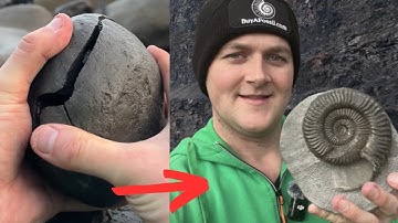 I Found A Huge Fossil Haul - Fossil Hunting Remote Beach