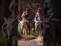 محطات مع ادهم قطار الدنيا اكسبلور احساس ترند مشاوير حكايات محطات مع ادهم قطار الدنيا اكسبلور احساس ترند مشاوير حكايات