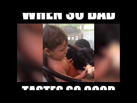 Funny Videos 2017 !! Most funny video 2017 !! Funny fail 2017 !! Best fail 2017 USA, UK NEW 2017