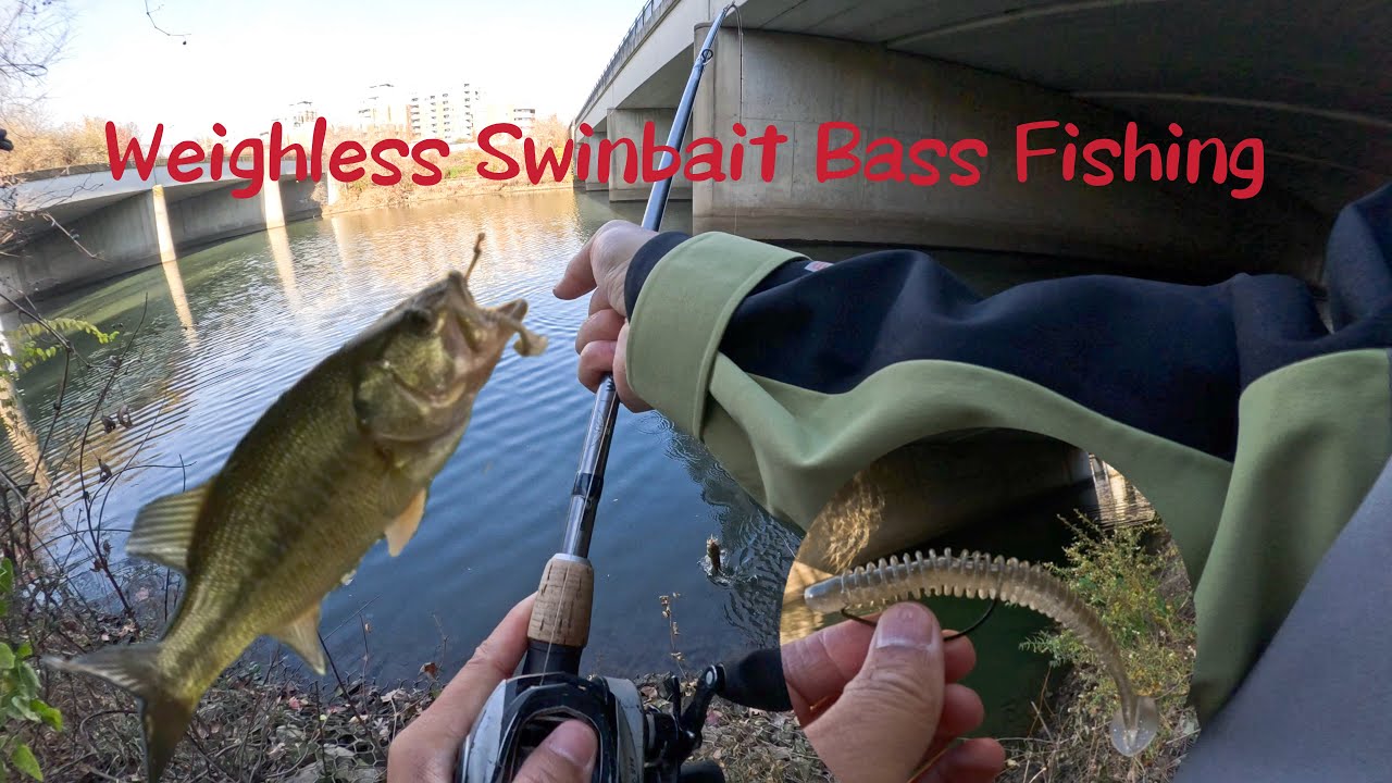 Weightless Swinbait Bass Fishing