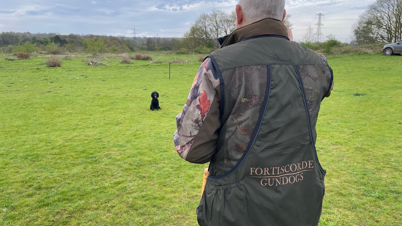 Gundogs positive stop whistle - YouTube