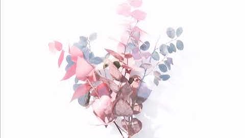 Surah Al-mulk سورة الملك by sheikh mansour al salimi #surahalmulk #peace #Quran