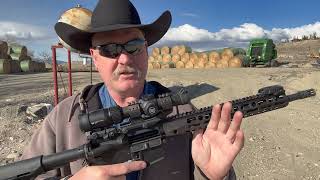 223 ballistic gel test Hornady VS Nosler