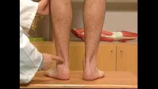 Ankle and foot examination. Dr. Javier de Toro CHUAC INIBIC UDC A Coruña Spain