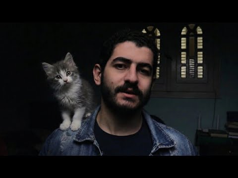 القطة بتاعتك أسعد منك 