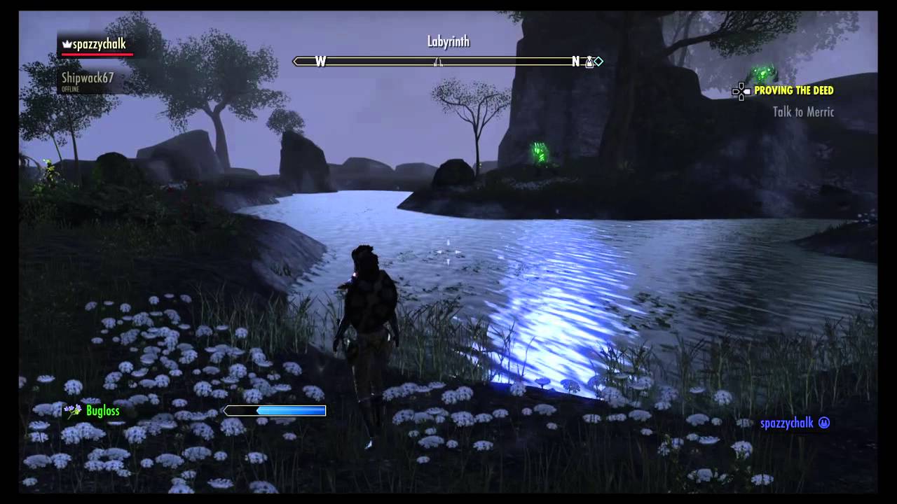 Elder Scrolls Online Level 33 Greenshade / Auridon pickpocketing