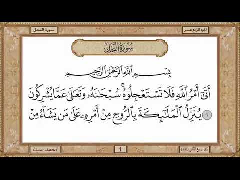 سورة النحل مكتوبة حسن صالح بدون اعلانات