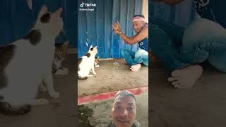 Mbah dukun nyembur kucing #cat #dukun #lucu #funny #kucing #shorts