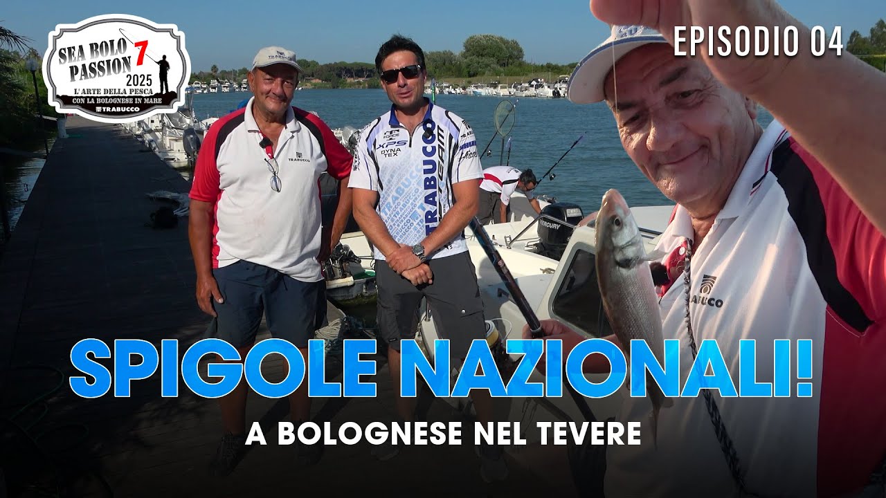 SPIGOLE con la BOLOGNESE nel TEVERE | Tecnica in passata con Massimo Ardenti | Sea Bolo Passion E4S7