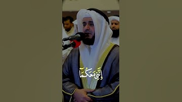 قال لا تخاف مشاري العفاسي#قرآن_كريم #قرآن #القران #الله #تلاوة #تلاوات #مشاري_العفاسي #islam #quran