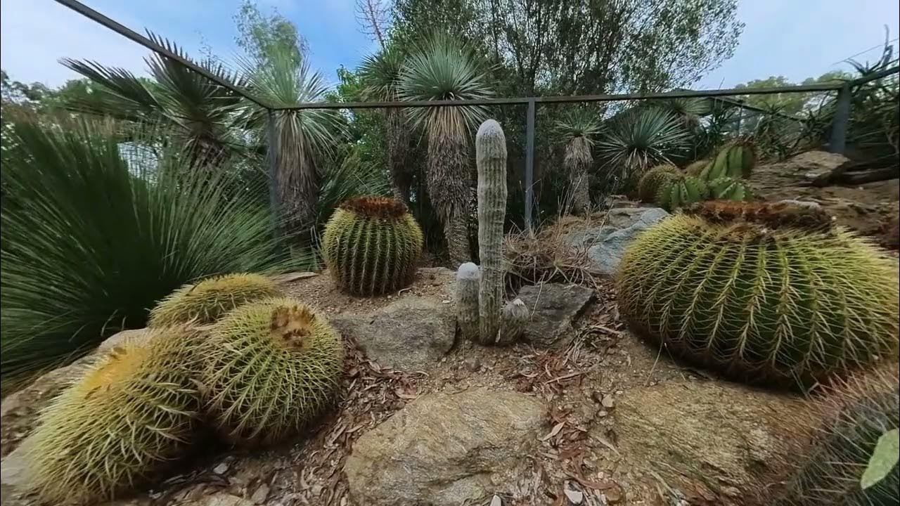 Jardin Exotique La Londe - YouTube