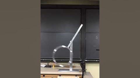 3A95.50 Double Pendulum Ring and Bar