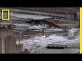 Rare Video: Japan Tsunami | National Geographic