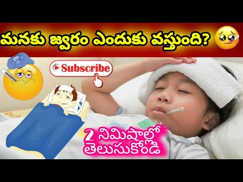 Why do we get Fever? - YouTube
