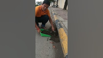 Remove Land Clogged Culvert Drain #remove #unclog #drain #shorts