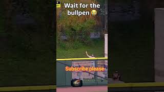 ⚾ Impossible Baseball Catch 🤯 | Greatest Play Ever!
