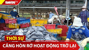 Cảng Hòn Rớ -TP Nha Trang hoạt động trở lại sau thời gian dài bị phong tỏa | Tuổi Trẻ TV