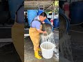 魚苗の移動：漁業における技術と工夫