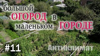 Большой огород в маленьком городе!