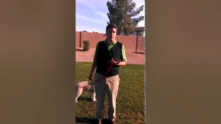 MS and Heat: Beat the Heat with Kool Max Cooling Vest