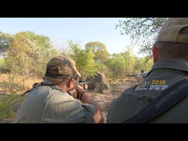 Elephant Hunting in the Caprivi by the Best! class=
