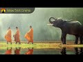 Tibetan Meditation Music, Relaxing Music, Healing Music, Chakra, Yoga, Sleep, Study, Relax, ☯3582