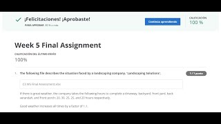 Excel Skills for Business: Intermediate 2 ll Week 5 Final Assignment 100% ll Coursera