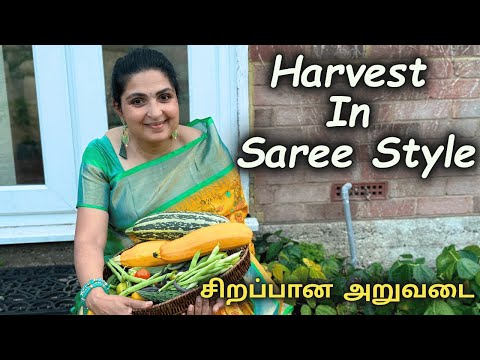 நம்ம வீட்டு தோட்டம் 🍀 சிறப்பான அறுவடை (Special Harvest in Our Home Garden)