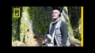 He Hears Music In The Quietest Place On Earthcan You? Short Film Showcase