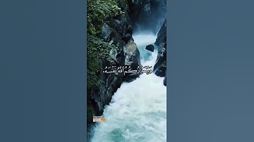 قرآن كريم تلاوه خاشعه بصوت جميل ماشاءالله#shorth #shortvideo
