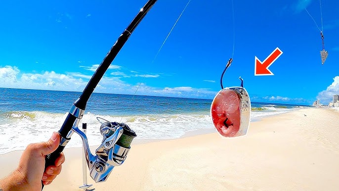 Surf Fishing For SHARKS On The Gulf Of Mexico 