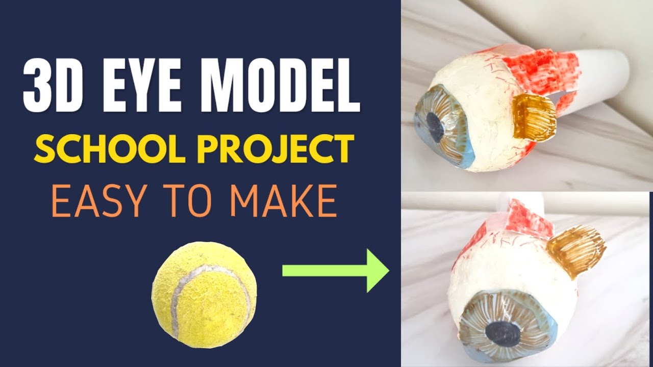 How to make a simple Eye Model at home School Project YouTube