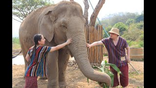 Week 3 - Thailand