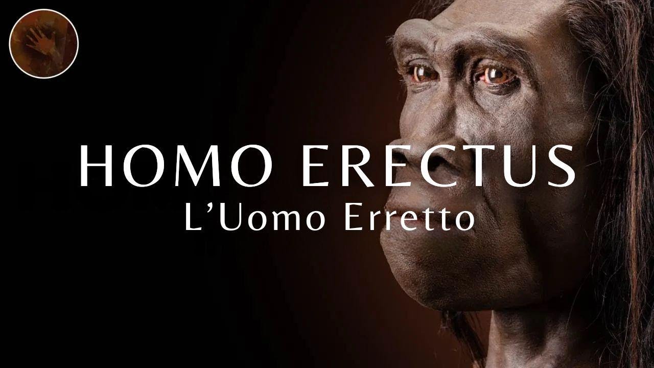 Homo Erectus: l'Uomo che camminava eretto | Documentario sull'evoluzione umana