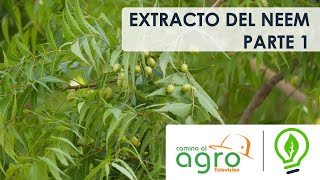 Ideas Biológicas - Extracto del Neem Parte 1 / Camino al Agro