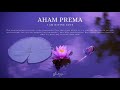 Vex king feat sony sai  aham prema  original healing meditation music