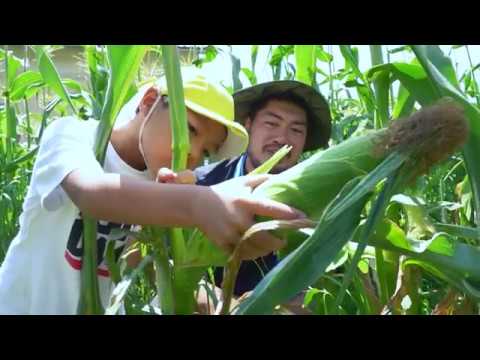 JAしまねTVCM 愛菜カレー編（15秒）