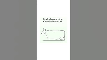 First Rule Of Programming 😁🗣️ #programming #shorts #coding