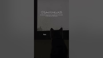 سورة مريم القارئ شريف مصطفى