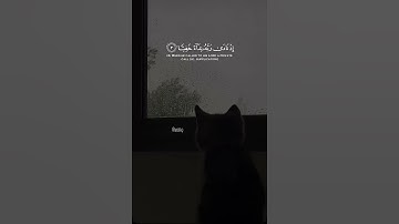 سورة مريم القارئ شريف مصطفى